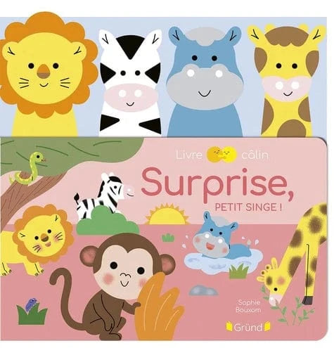 Livre câlin - Surprise, petit singe !