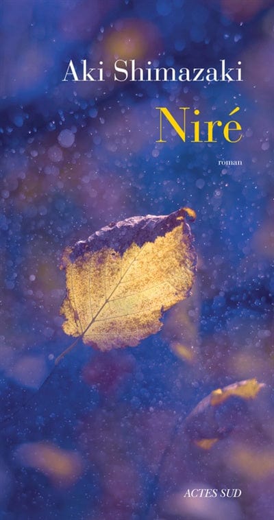 Une clochette sans battant T04 - Niré
