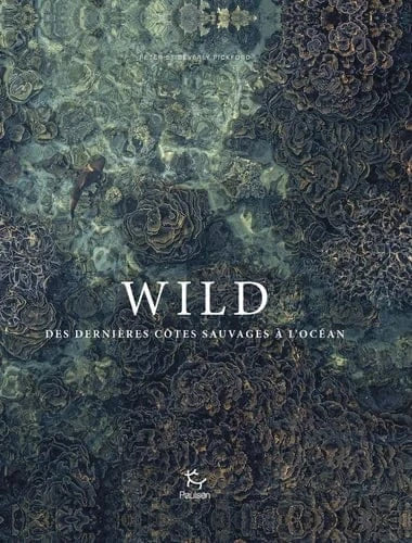 Wild : des dernières côtes sauvages à l'océan