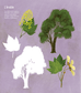 Mon beau livre de la nature - À la découverte des arbres, fleurs, fruits et légumes...