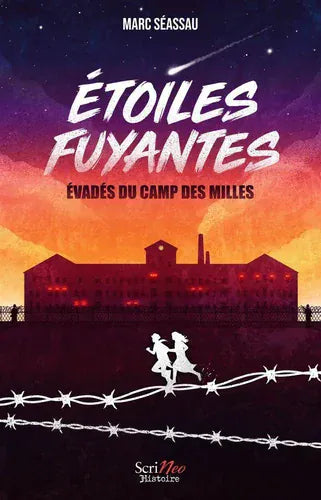 Étoiles fuyantes