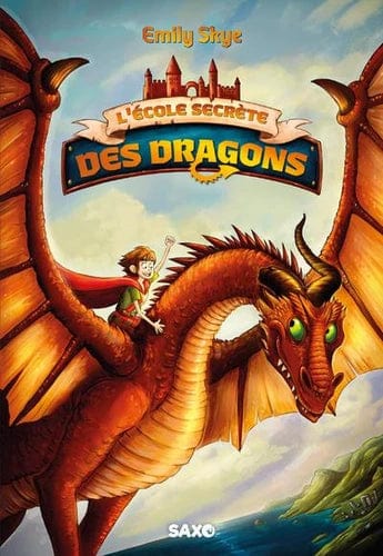L'école secrète des dragons T01