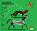 1. 2. 3... Partez ! Les exploits sportifs des animaux