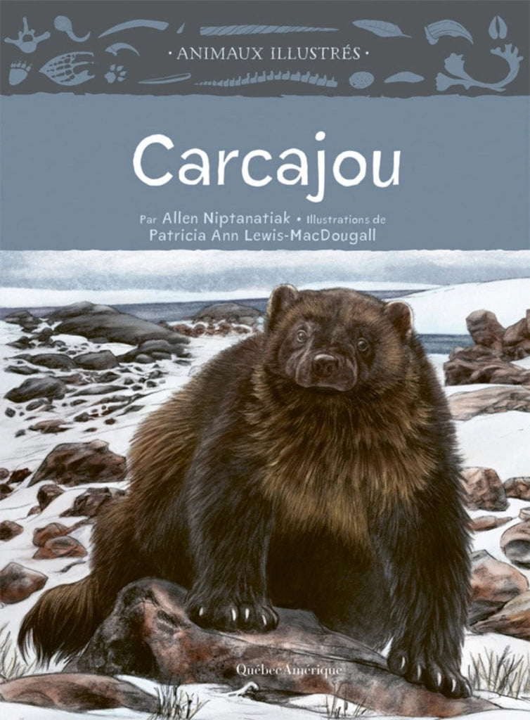 Animaux illustrés - Carcajou