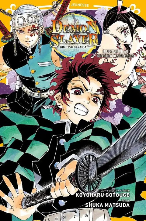 Demon slayer Roman T04 - Infiltration au quartier des plaisirs