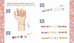 Coffret - Mes bracelets souhaits magiques