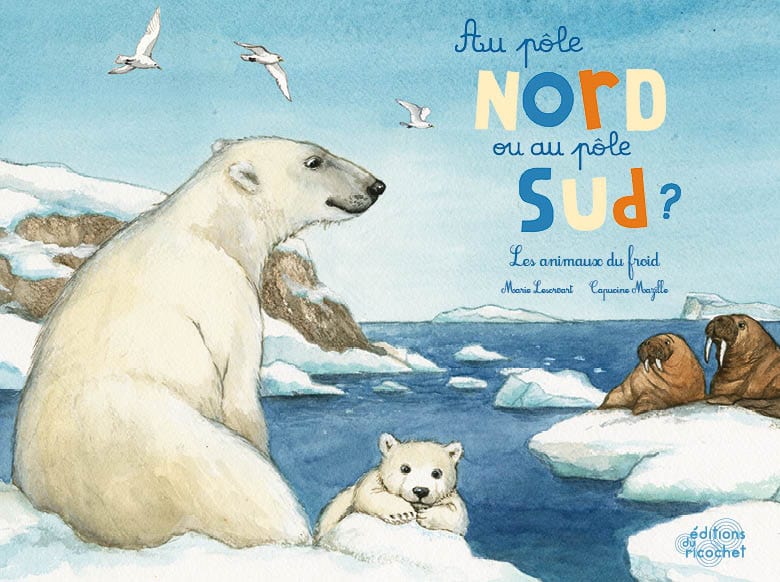 Au pôle Nord ou au pôle Sud ? - Les animaux du froid