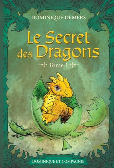Le secret des dragons T01