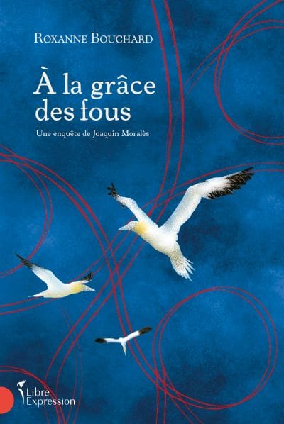 A la grâce des fous : la quatrième enquête de Joaquin Moralès