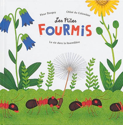 Les p'tites fourmis: la vie dans la fourmilière