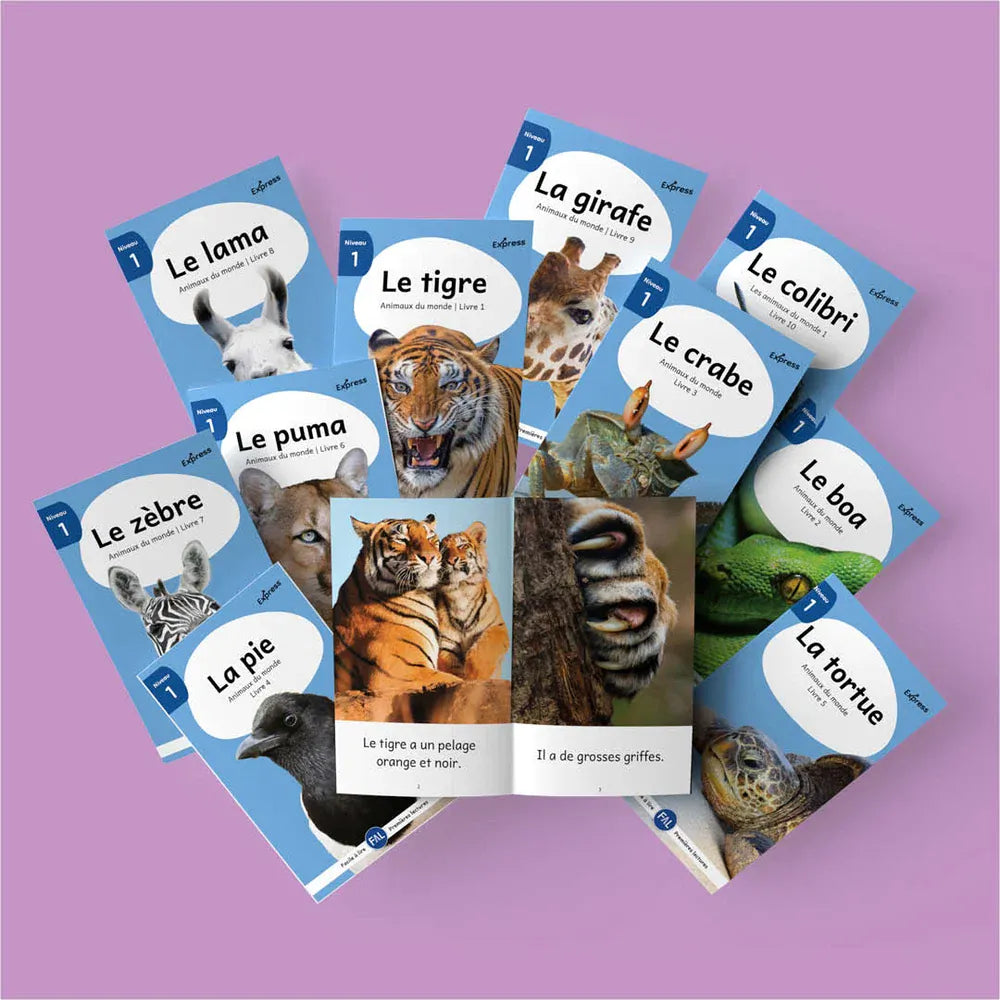 Ensemble Facile à lire - Animaux du monde 1 - Série de 10 livres