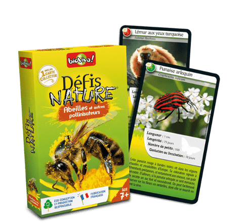 Défis Nature - Abeilles et autres pollinisateurs