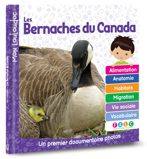 Mon louloudoc - Les bernaches du Canada