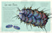 Anthologie illustrée du monde aquatique