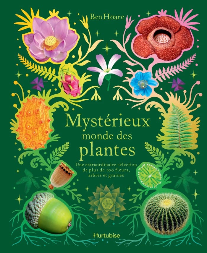 Mystérieux monde des plantes