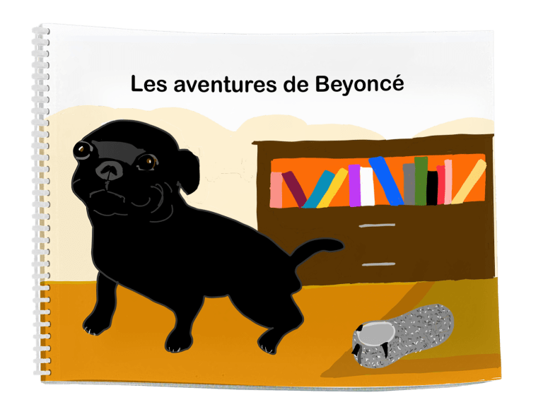 Les aventures de Beyoncé