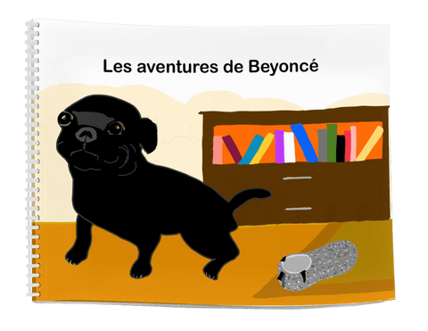 Les aventures de Beyoncé