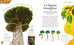 Mystérieux monde des plantes