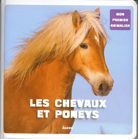 Mon premier animalier - Les Chevaux et poneys