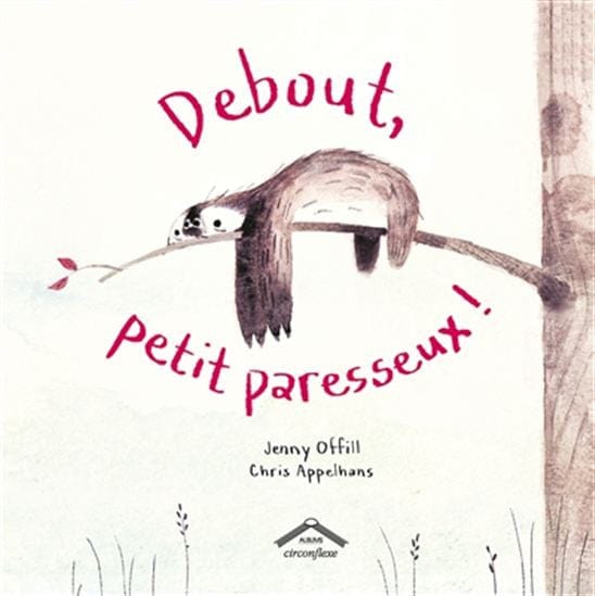 Debout petit paresseux
