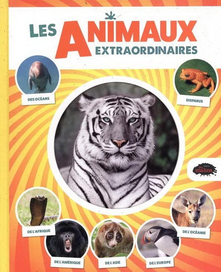 Les animaux extraordinaires