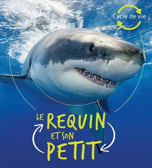 Cycle de vie - Le requin et son petit
