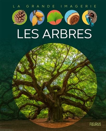La grande imagerie - Les arbres