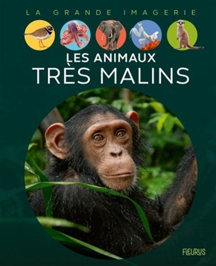 La grande imagerie - Les animaux très malins