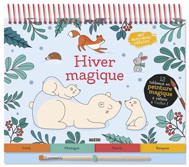12 tableaux en peinture magique - Hiver magique