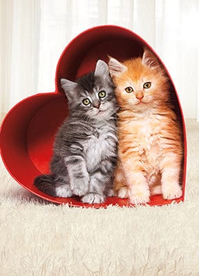 Carte de souhait - Amour - B0402