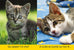 La boîte à lecture 2 - National Geographic kids