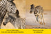 La boîte à lecture 3 - National Geographic kids
