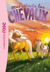 Mes amis les chevaux T06: Une rencontre inoubliable