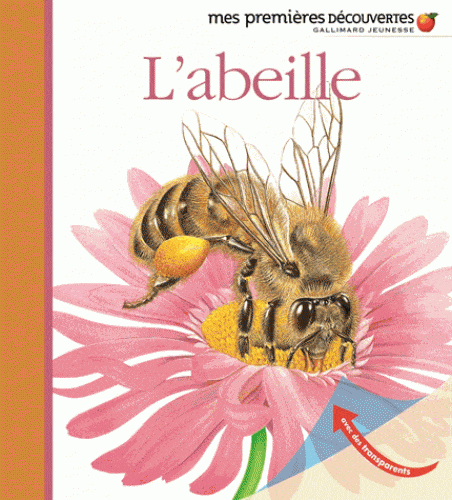 Mes premières découvertes - L'abeille