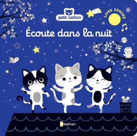 Écoute dans la nuit