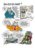 Le chat T21 - Chacun son chat