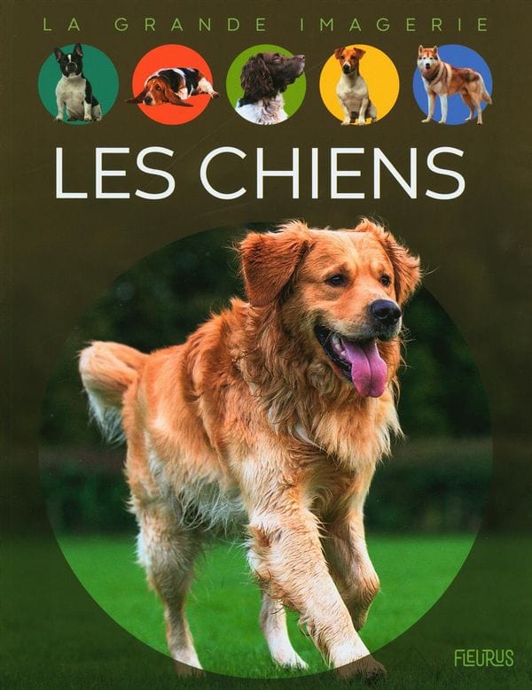 La grande imagerie - Les chiens