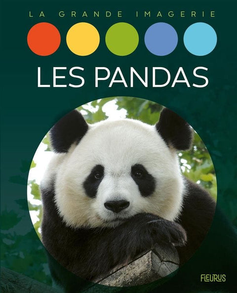 La grande imagerie - Les pandas