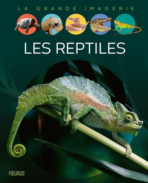 La grande imagerie - Les reptiles