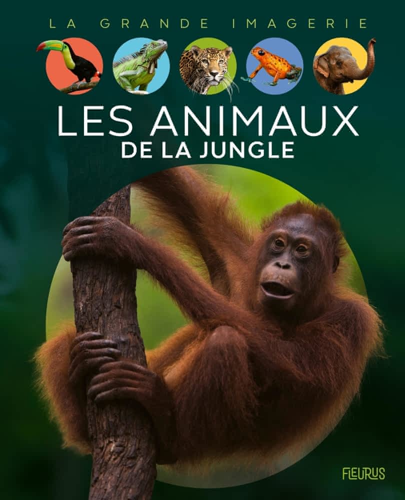 La grande imagerie - Les animaux de la jungle
