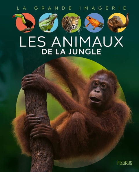 La grande imagerie - Les animaux de la jungle
