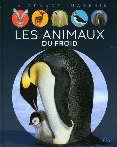 La grande imagerie - Les animaux du froid