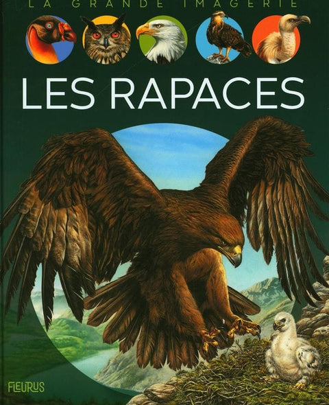 La grande imagerie - Les rapaces