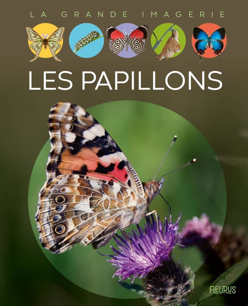 La grande imagerie - Les papillons