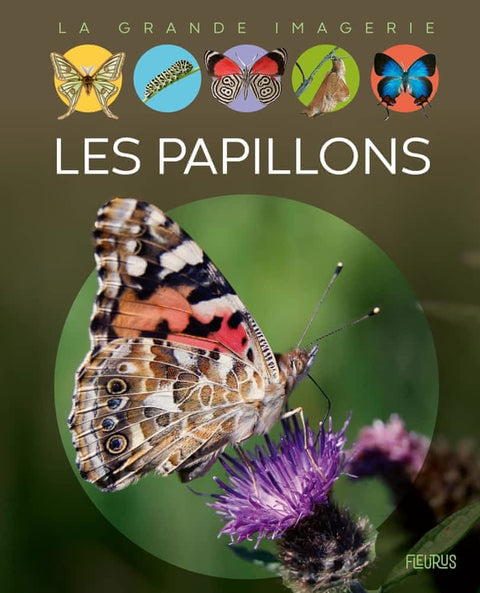 La grande imagerie - Les papillons