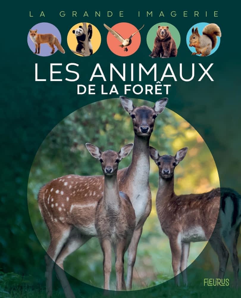 La grande imagerie - Les animaux de la forêt