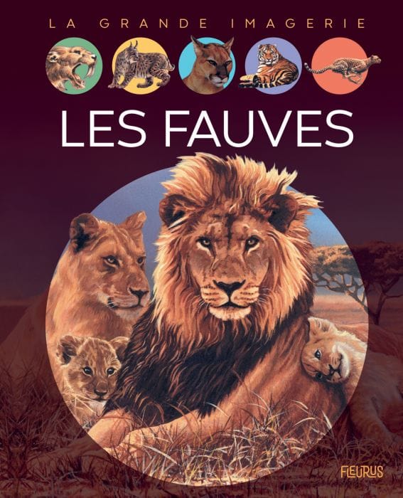 La grande imagerie - Les fauves