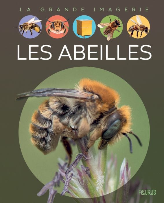 La grande imagerie - Les abeilles