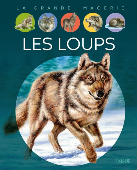 La grande imagerie - Les loups