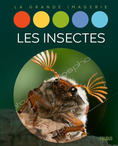 La grande imagerie - Les insectes